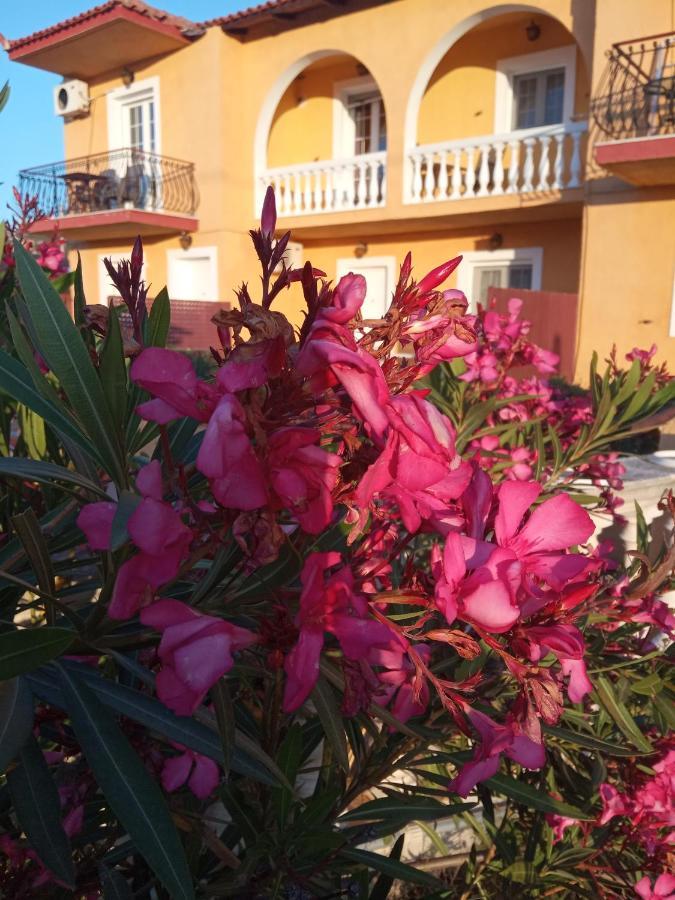Residence Ionian St&Apts Argostoli  Ngoại thất bức ảnh